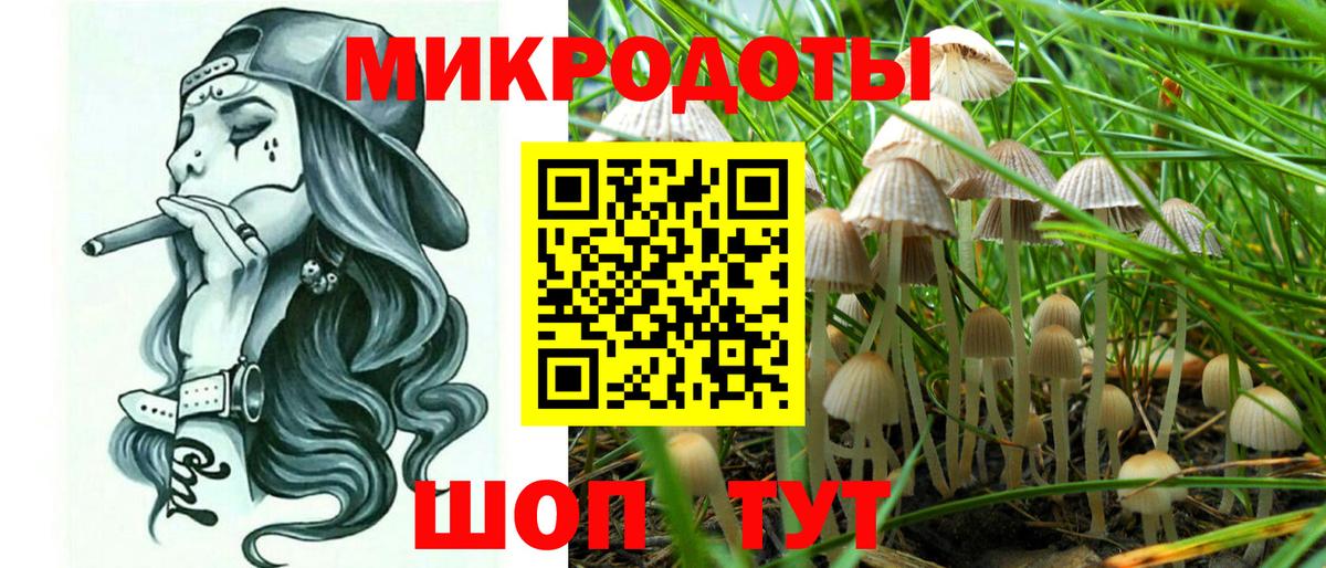 Чехов  Псилоцибиновые грибы GOLDEN TEACHER  Вход с VPN 